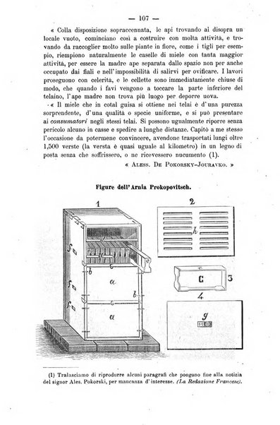 L' apicoltura razionale risorta in Italia