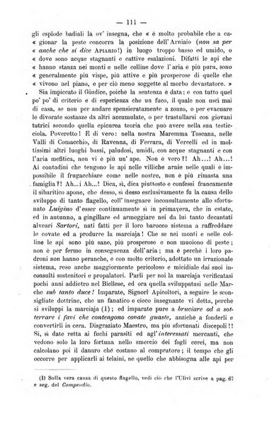 L' apicoltura razionale risorta in Italia