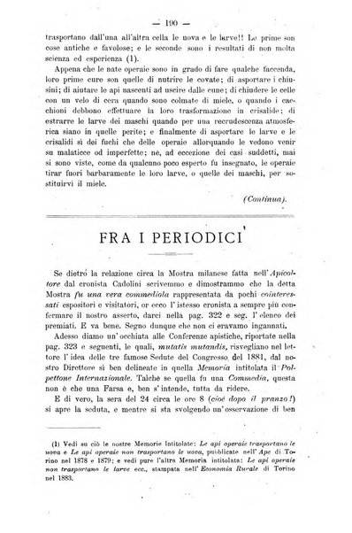 L' apicoltura razionale risorta in Italia