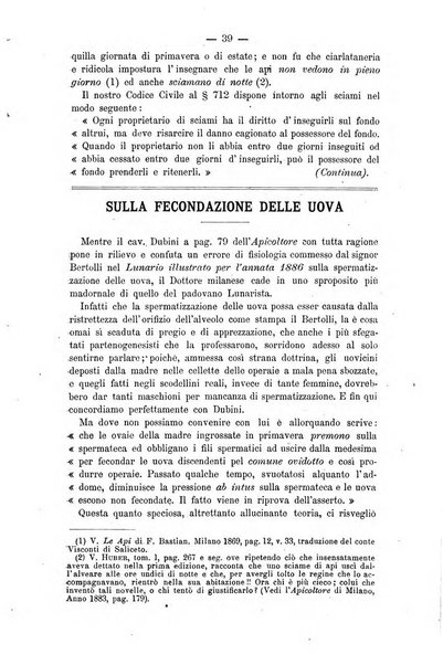 L' apicoltura razionale risorta in Italia