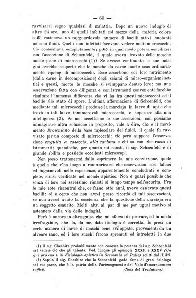 L' apicoltura razionale risorta in Italia