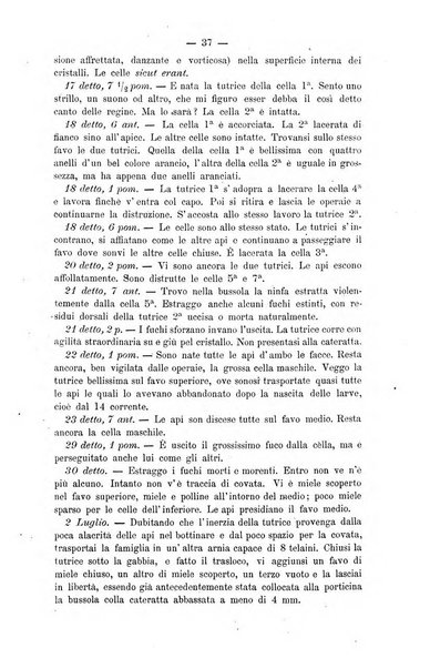 L' apicoltura razionale risorta in Italia