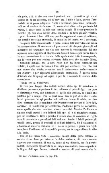 L' apicoltura razionale risorta in Italia