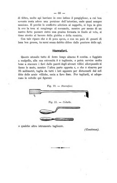 L' apicoltura razionale risorta in Italia