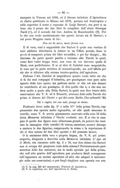 L' apicoltura razionale risorta in Italia