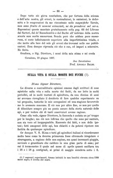 L' apicoltura razionale risorta in Italia