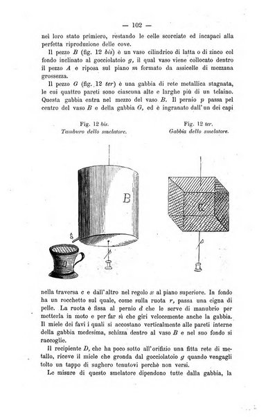 L' apicoltura razionale risorta in Italia