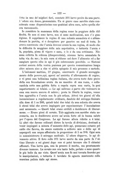 L' apicoltura razionale risorta in Italia