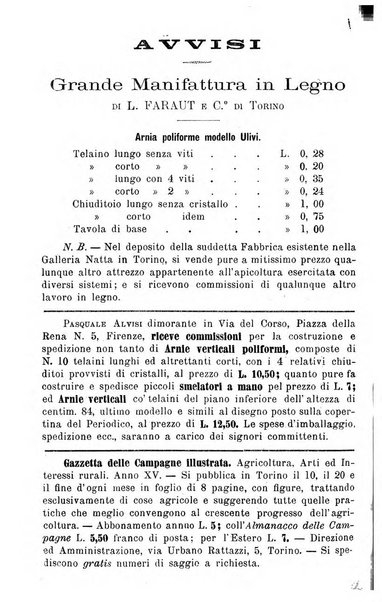 L' apicoltura razionale risorta in Italia