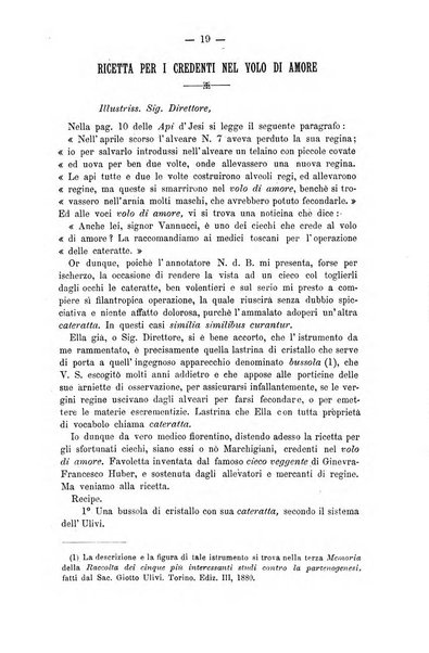 L' apicoltura razionale risorta in Italia