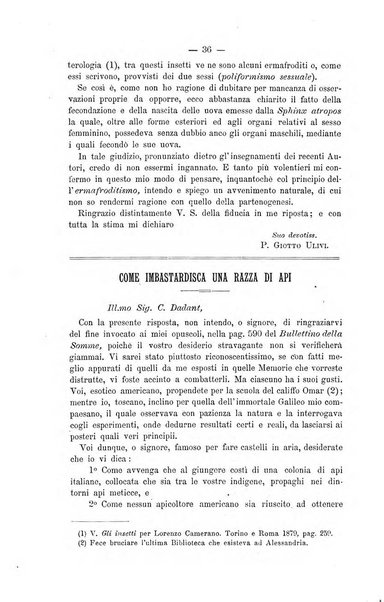 L' apicoltura razionale risorta in Italia