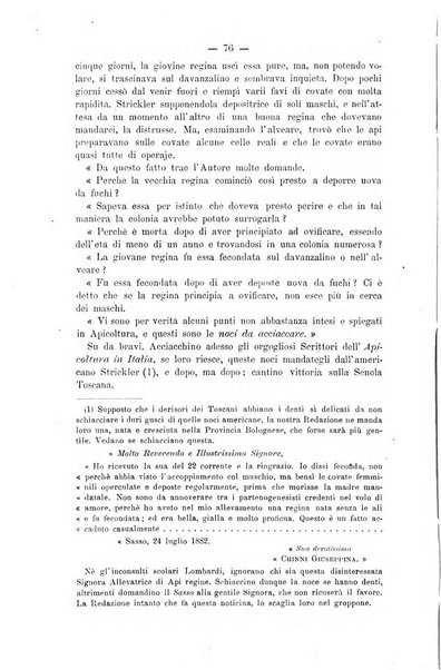 L' apicoltura razionale risorta in Italia