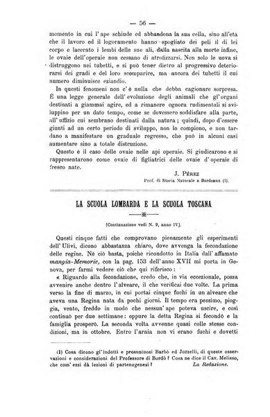 L' apicoltura razionale risorta in Italia