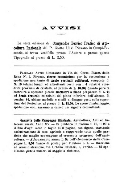 L' apicoltura razionale risorta in Italia