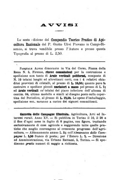 L' apicoltura razionale risorta in Italia