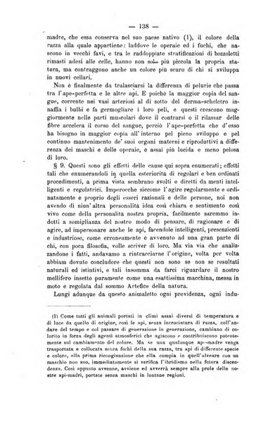 L' apicoltura razionale risorta in Italia