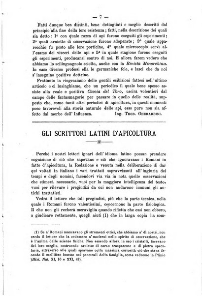 L' apicoltura razionale risorta in Italia