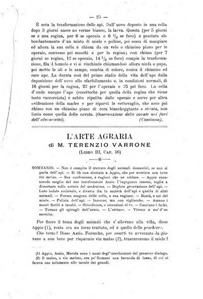 L' apicoltura razionale risorta in Italia