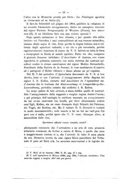 L' apicoltura razionale risorta in Italia