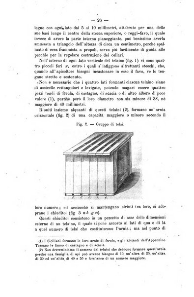 L' apicoltura razionale risorta in Italia