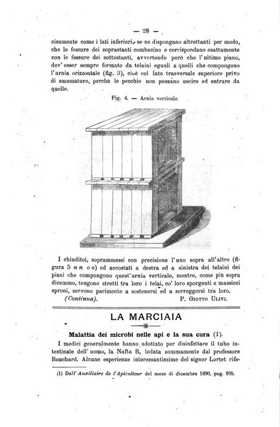 L' apicoltura razionale risorta in Italia