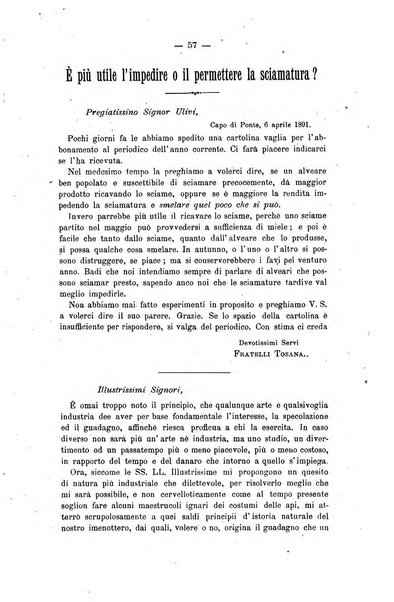 L' apicoltura razionale risorta in Italia