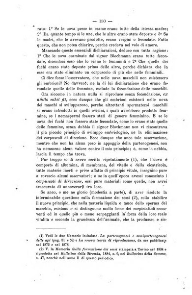 L' apicoltura razionale risorta in Italia