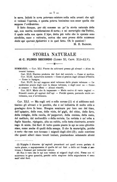 L' apicoltura razionale risorta in Italia