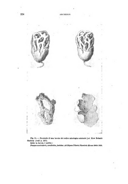 Archeion archivio di storia della scienza