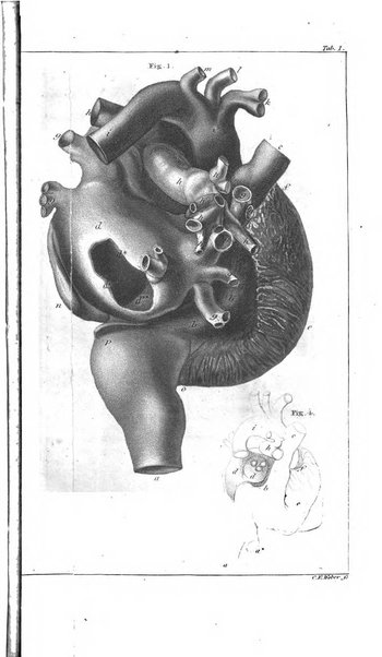 Archiv fur Anatomie, Physiologie und wissenschaftliche medizin