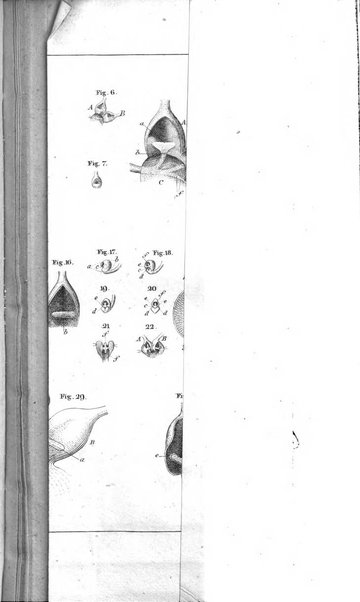 Archiv fur Anatomie, Physiologie und wissenschaftliche medizin