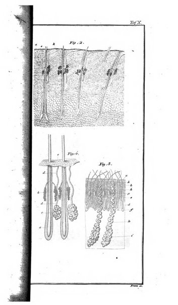 Archiv fur Anatomie, Physiologie und wissenschaftliche medizin