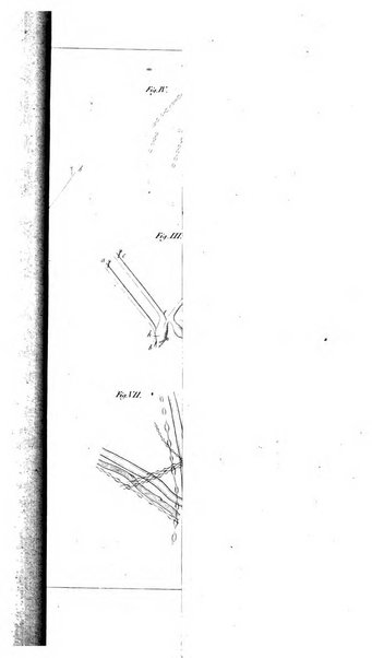 Archiv fur Anatomie, Physiologie und wissenschaftliche medizin