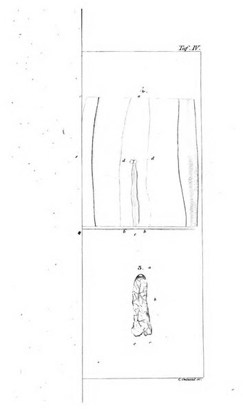 Archiv fur Anatomie, Physiologie und wissenschaftliche medizin