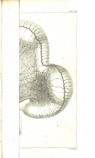 Archiv fur Anatomie, Physiologie und wissenschaftliche medizin