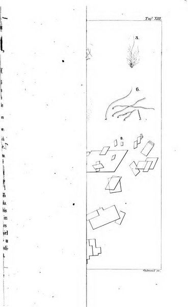 Archiv fur Anatomie, Physiologie und wissenschaftliche medizin