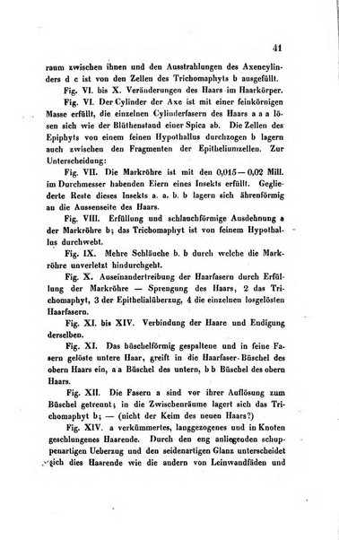 Archiv fur Anatomie, Physiologie und wissenschaftliche medizin