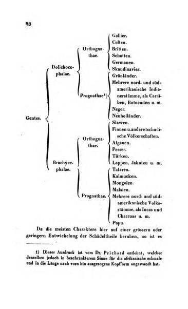 Archiv fur Anatomie, Physiologie und wissenschaftliche medizin