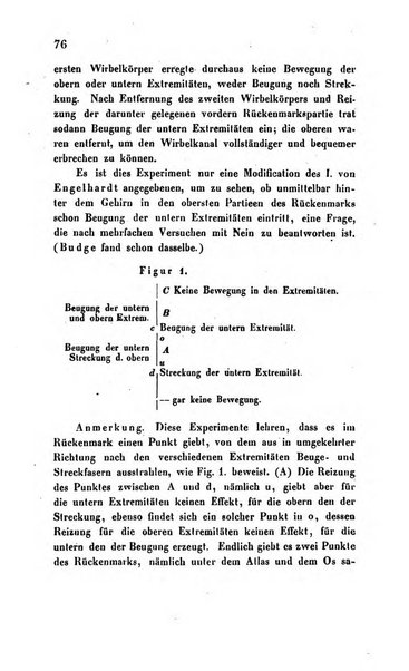 Archiv fur Anatomie, Physiologie und wissenschaftliche medizin