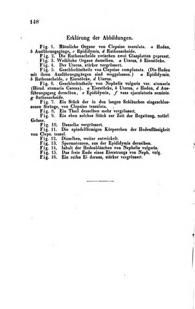 Archiv fur Anatomie, Physiologie und wissenschaftliche medizin