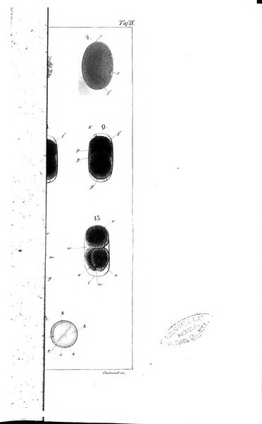 Archiv fur Anatomie, Physiologie und wissenschaftliche medizin