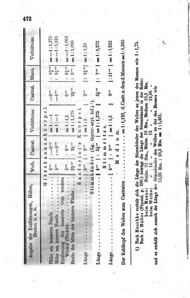 Archiv fur Anatomie, Physiologie und wissenschaftliche medizin