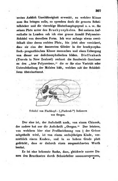 Archiv fur Anatomie, Physiologie und wissenschaftliche medizin