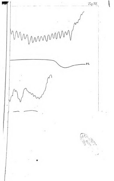 Archiv fur Anatomie, Physiologie und wissenschaftliche medizin