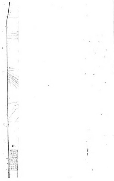 Archiv fur Anatomie, Physiologie und wissenschaftliche medizin