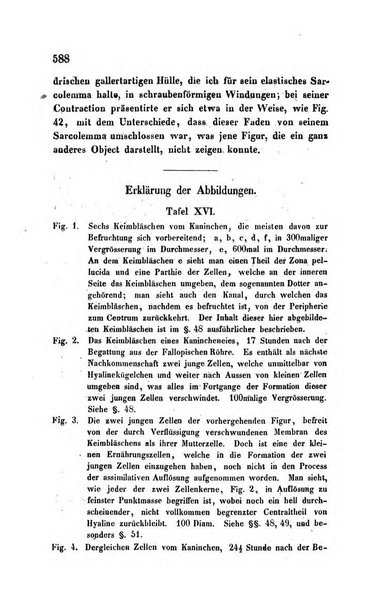 Archiv fur Anatomie, Physiologie und wissenschaftliche medizin