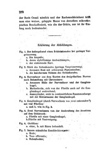 Archiv fur Anatomie, Physiologie und wissenschaftliche medizin