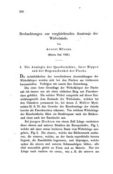 Archiv fur Anatomie, Physiologie und wissenschaftliche medizin