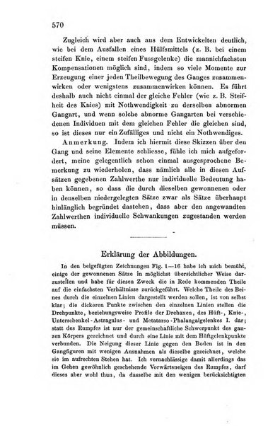 Archiv fur Anatomie, Physiologie und wissenschaftliche medizin