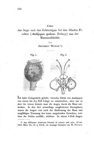 Archiv fur Anatomie, Physiologie und wissenschaftliche medizin